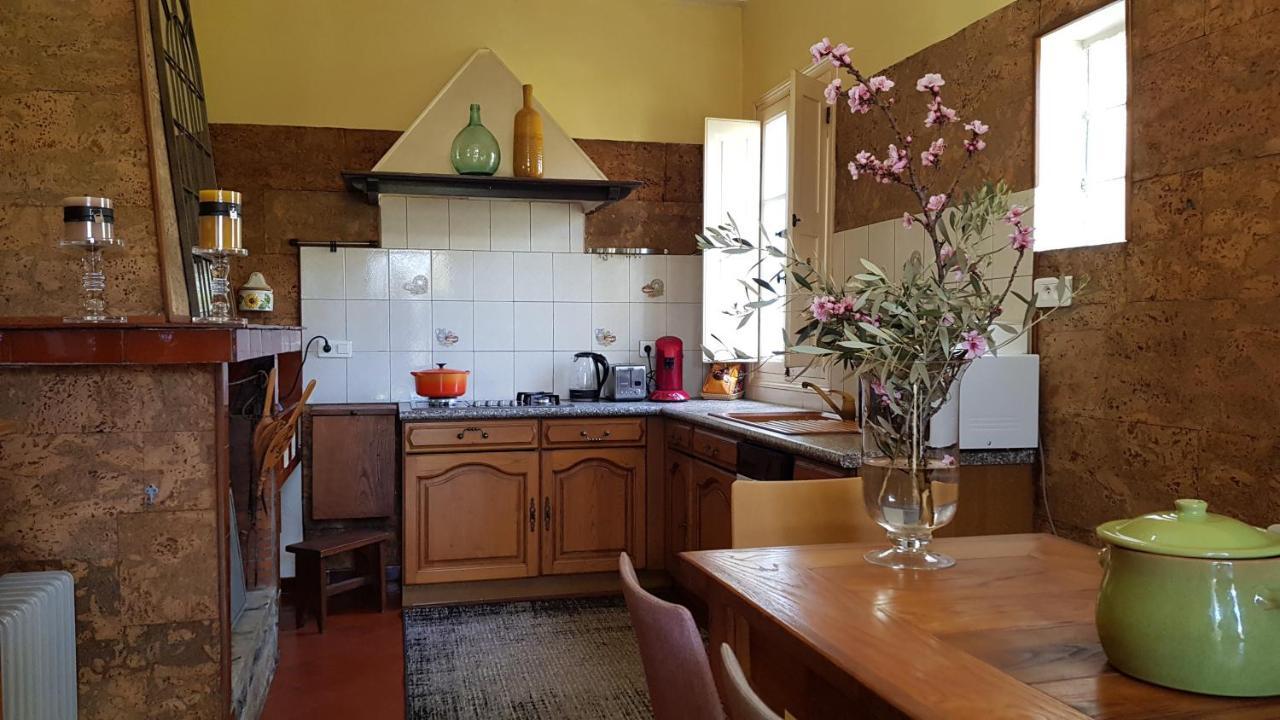 Cagnano Aroma Green Villa מראה חיצוני תמונה